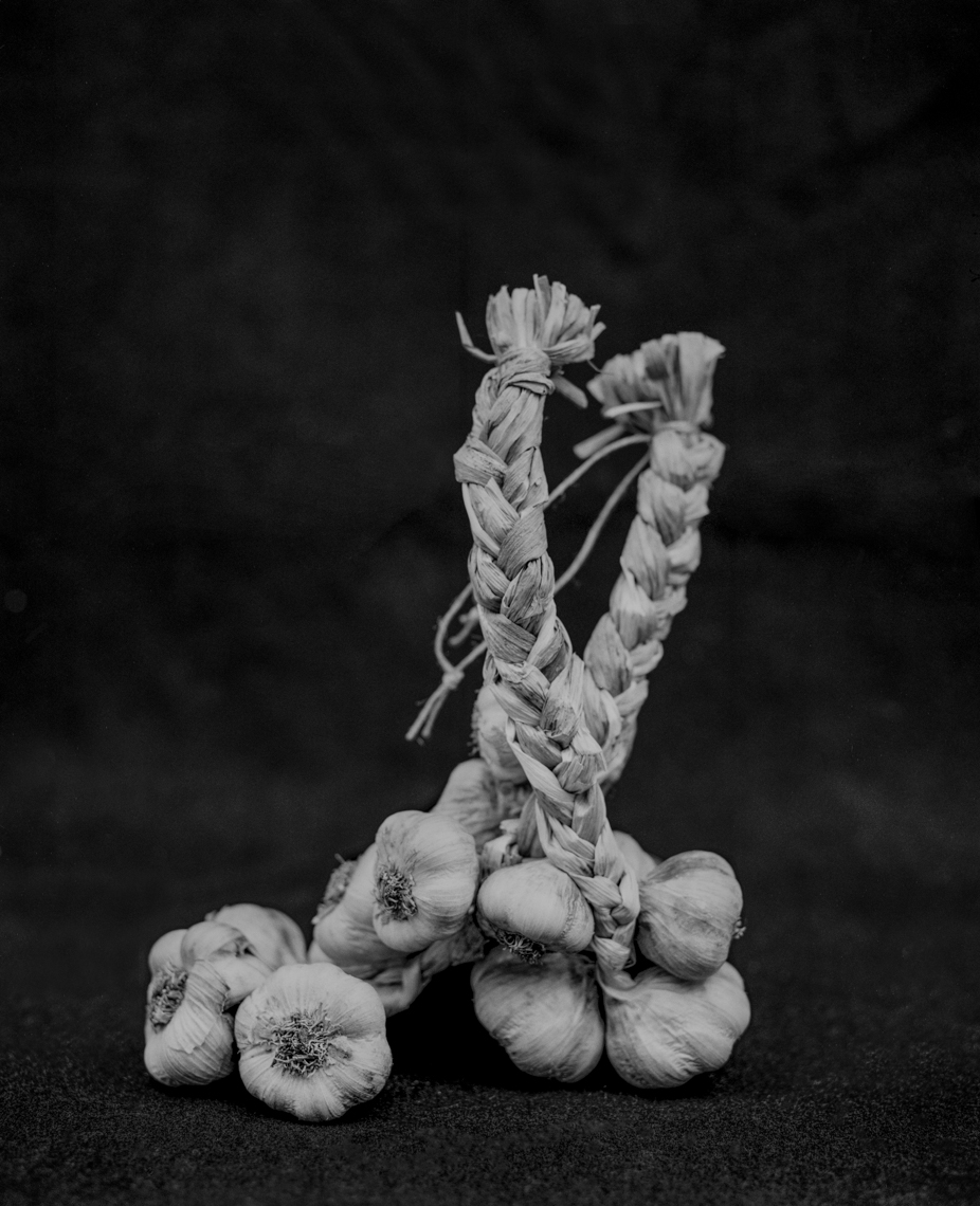 Axel Bernstorff, Collectable limited edition fine art photographic prints. Braided Garlic (Allium sativum)